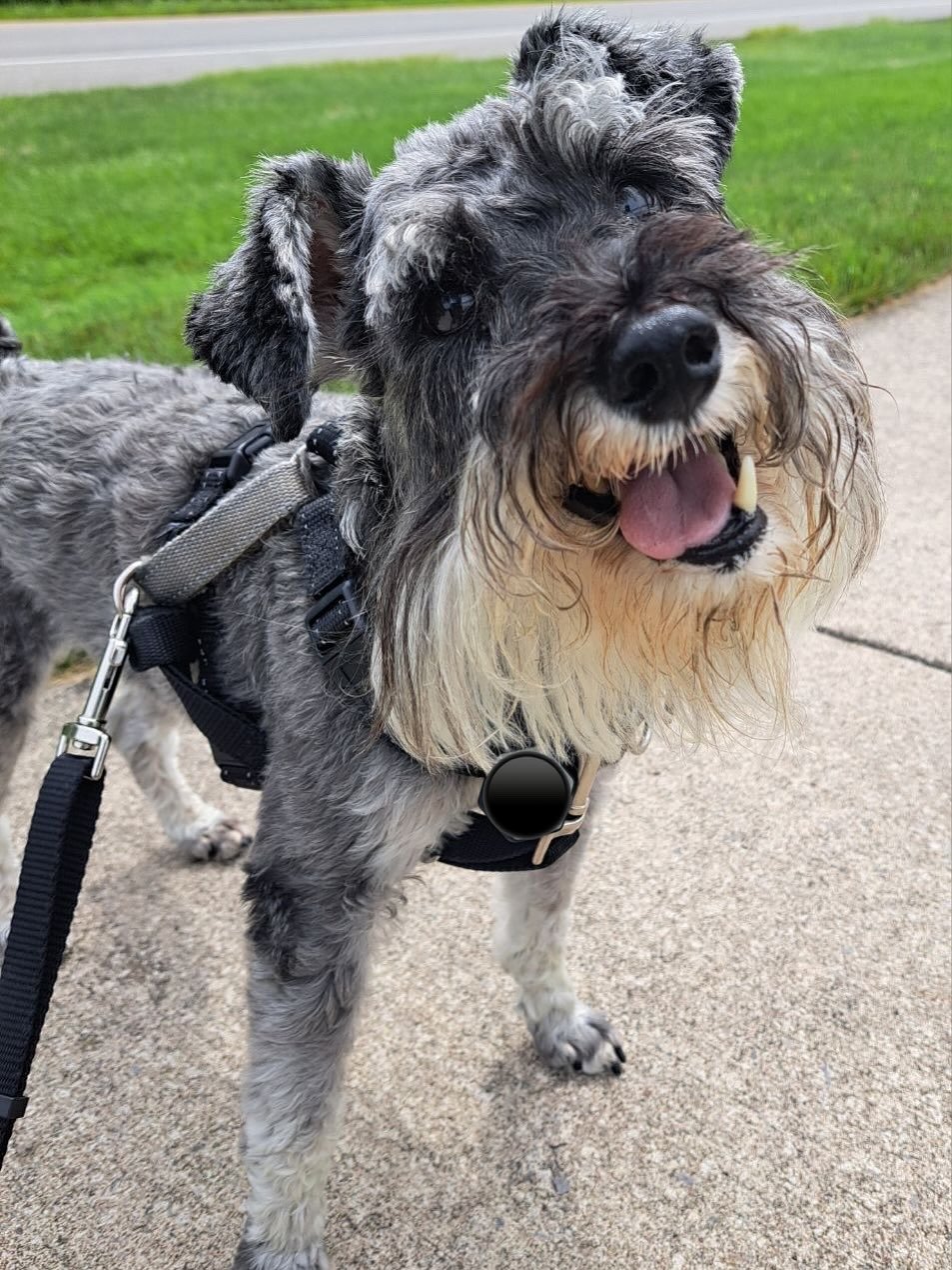 walk photo
